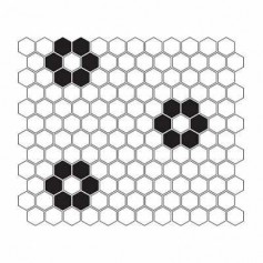 Mini Hexagon B&W Flower mozaik kép